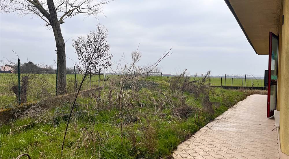 esterno giardino